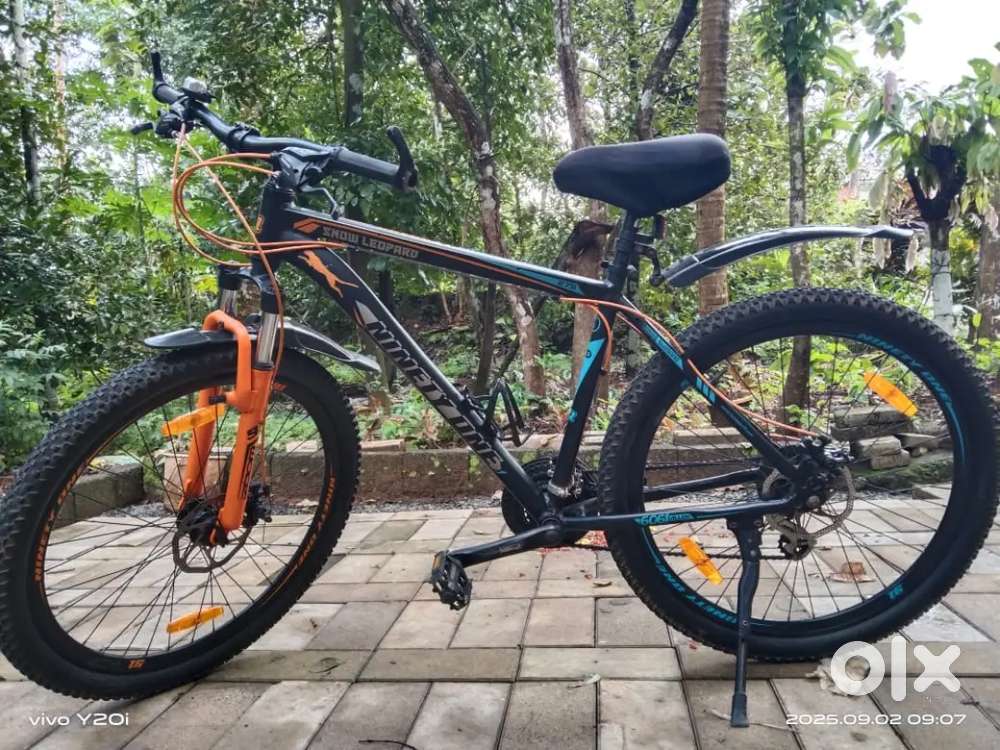 Vector 91 Snow leopard