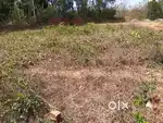 5 cent house plot paramb