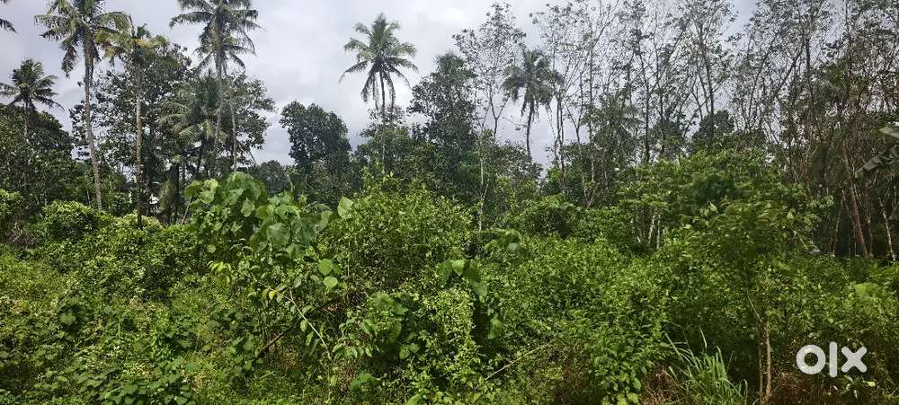 Land for sale Kadayirup