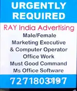 Job in Ray India Advertising flex office