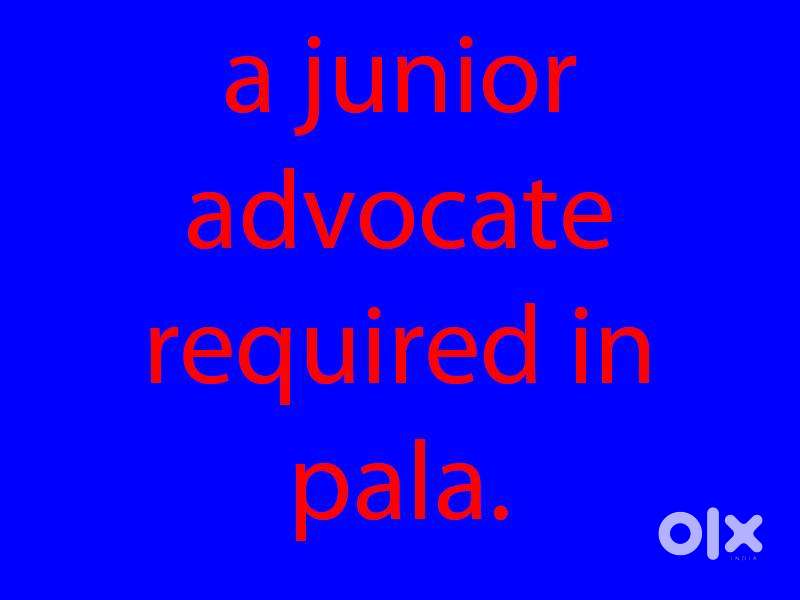 junior lawyer required
