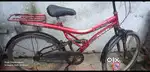 Avon cycle