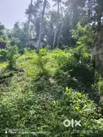 School. College. Hospital, market available Road said property.