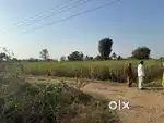 Exp Organic Farming advisor  4hrs per month only