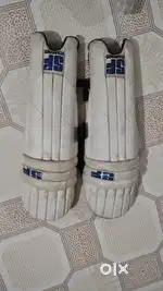 Cricket pads