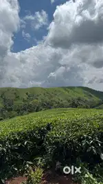 Land for sale in Vagamon
