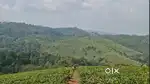 Vagamon maleChammannu 10 AC with House for sale Cardamom & tea coffee