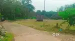 20 cent plot for sale at Choorakkod