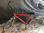 Hercules cycle