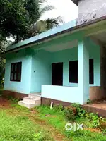 SINGLE HOUSE RENT RAMANTHALI VADAKKUMBAD, PAYYANUR ( FOR RENT)