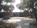 For lease our agricultural area