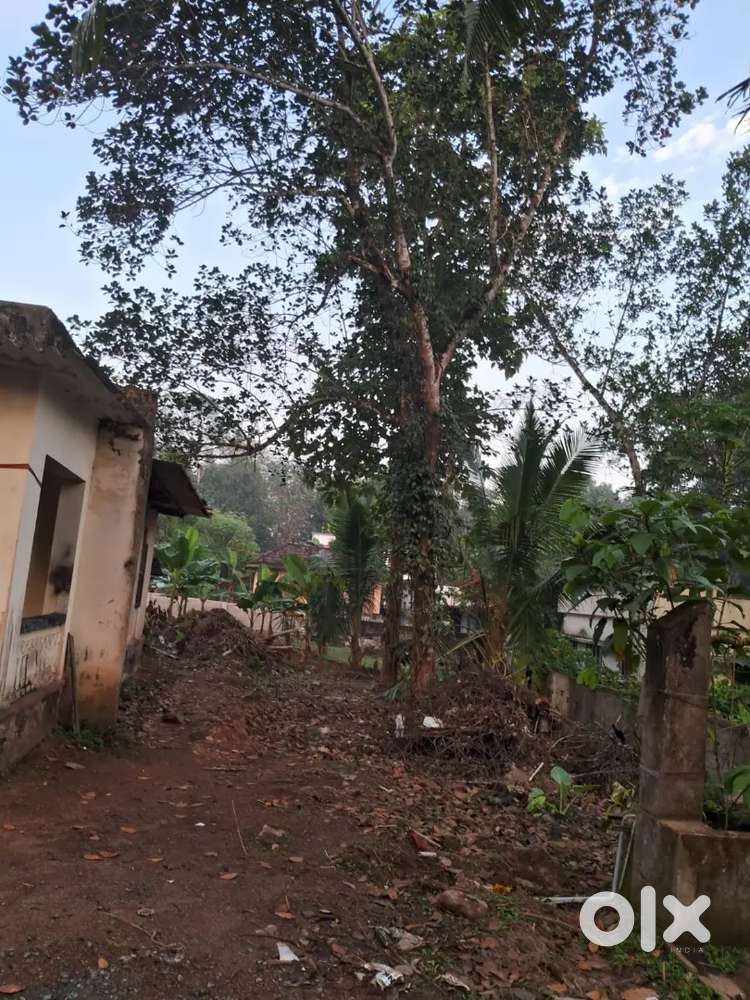 Plot and house for sale