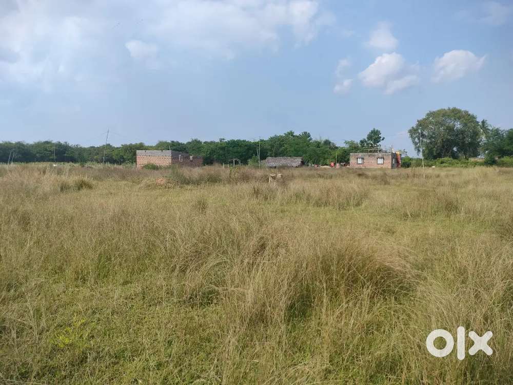 Sell Plot 6 Decimil in Susuda