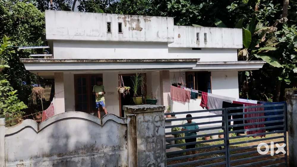 House for sale at Vaniyamkulam Panchayat