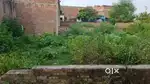 Cod chaka naini prayagraj मैं जमीन बिकाऊ है