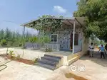 ఆడంకి ఫార్మ్ ల్యాండ్స్‌లో పెట్టుబడి – ఆరేళ్ల నుంచి ఆదాయం హామీ