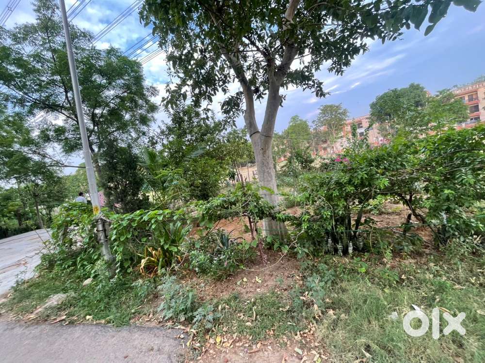 350 meter completion plot for sale