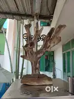 Drift wood