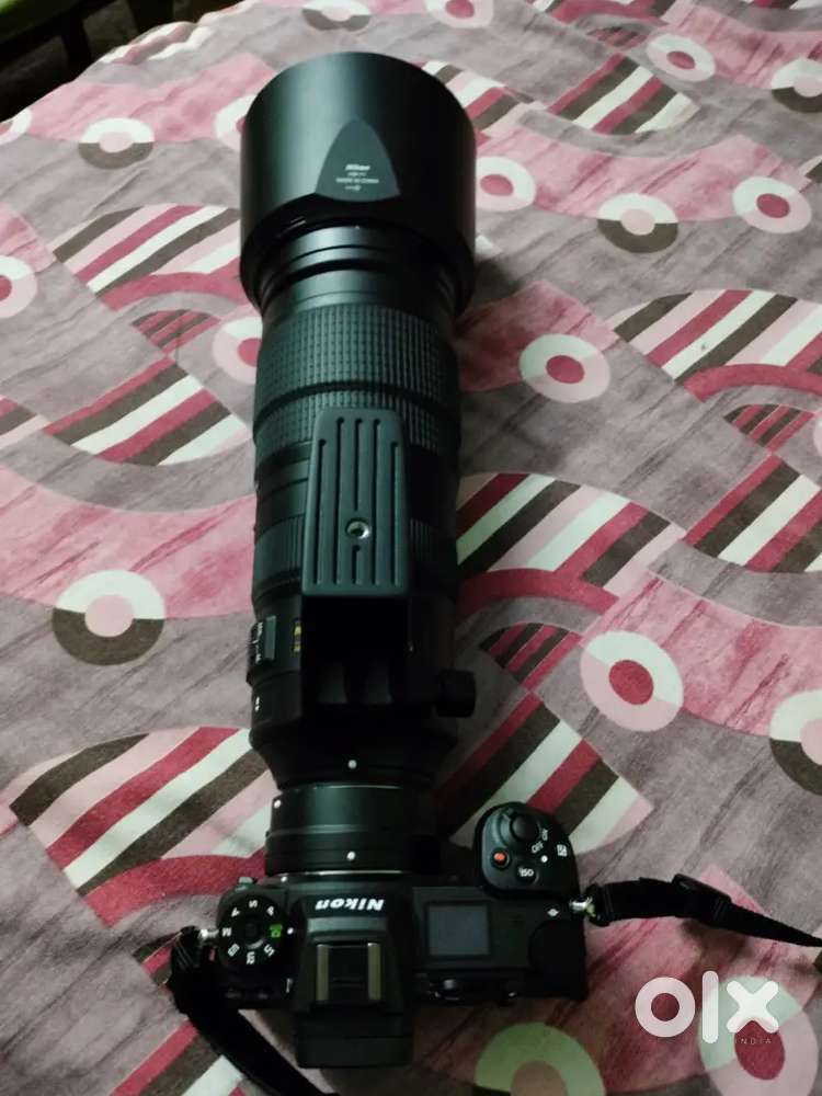 Nikon wildlife setup