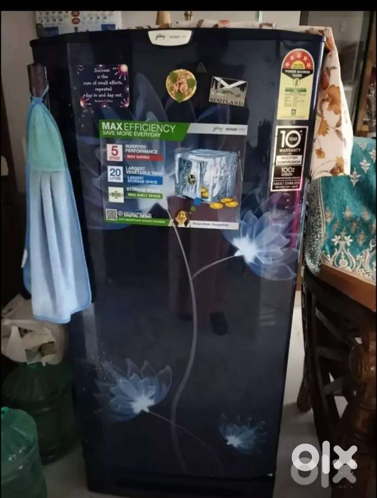 Godrej Edge Pro Floral design Fridge in Blue, 190 ltr for Sale