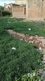 Sipri bajar Deli
