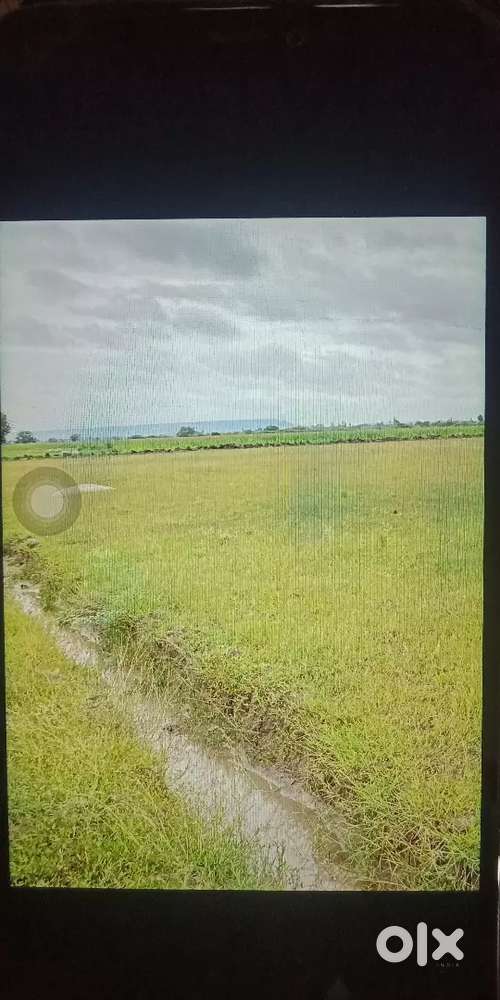 4 Acres Farm Land