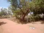 Plot for sale @vellore