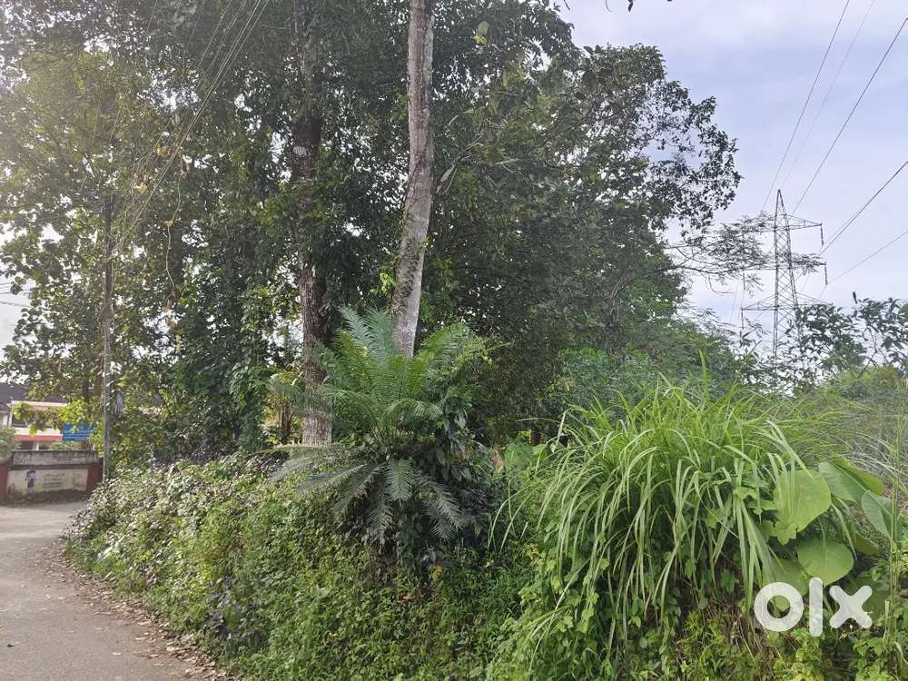 10 Cent Land for sale