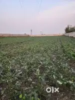 Farm house