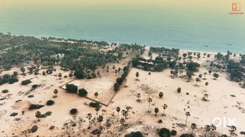 Beach-facing Plots for Sale