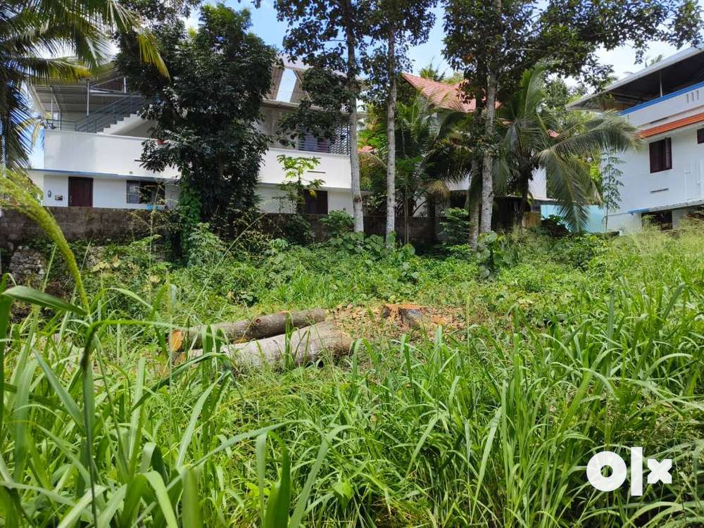 (ID-S188187) Residential 6.25 Cent Dry Land For Sale in Mannanthala