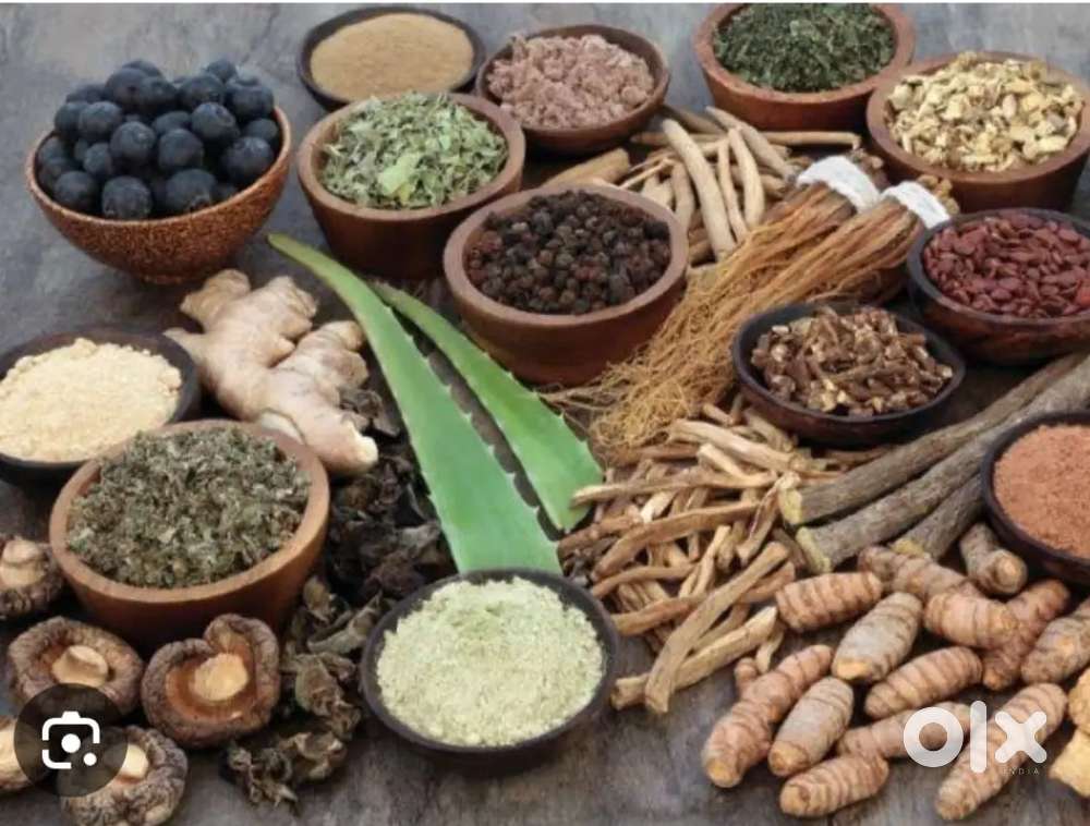 Computer expert digital marketing