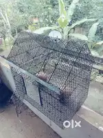 Birds cage no complaints