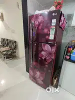 LG Double Door Refrigerator – 259L, 4 Star, Excellent Condition