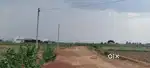 Investment Plotting Project Start From Near 60feet Road Pitapalli