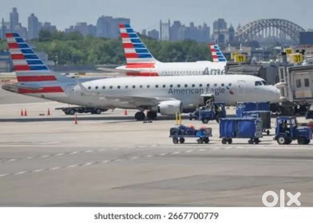 Indigo Airlines jobs /Vacancy for Airport Ground staf / Driver / Crew