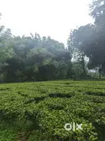 I want to sell my 2bighas of land