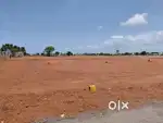Low Budget DTCP land for sale in Sulur ( ZOHO IT PARK )
