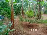 വെള്ളാങ്ങല്ലൂർ ബ്ലോക്ക് ജംഗ്ഷൻ പടിഞ്ഞാറ് 200മീറ്റർ ഉള്ളിൽ വഴിയോട് ചേർ