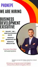Business Relationship Executive