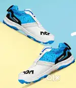 Cricket Shoes