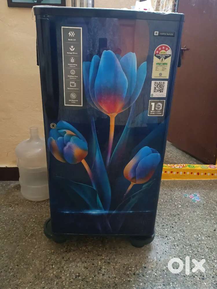 Fridge refrigerator