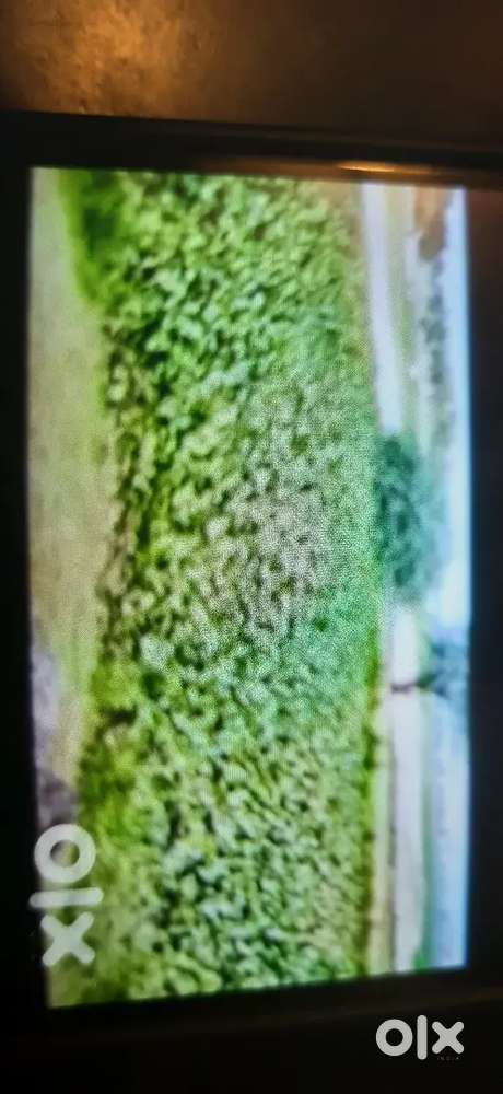 LAND FOR SALE IN HIGHLY DEVELOPING AREA AT A VERY LOW PRICE