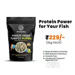 Healthy fish food