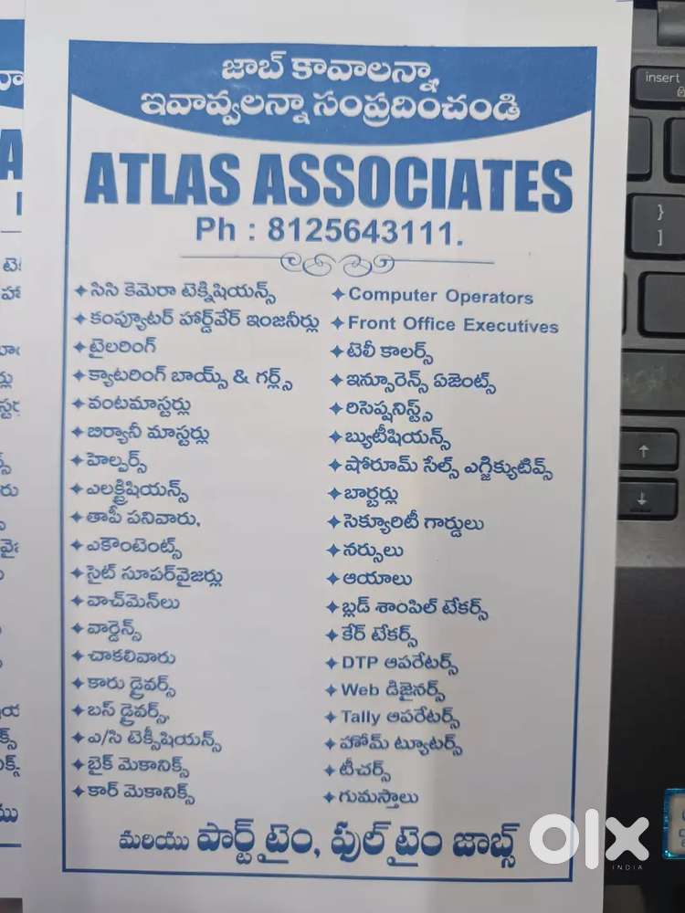Graphic designer /PRO/ blood samples/ sales manager