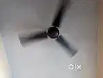 Celling fan 100% working condition