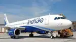 Indigo Airline Ground Staff