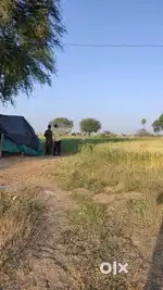 Farming land