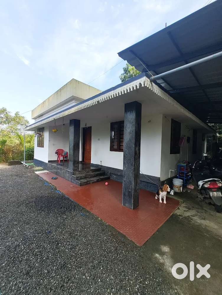 URGENT SALE...17 സെന്റ് വീടും സ്ഥലവും വിൽപ്പയ്ക്ക്.