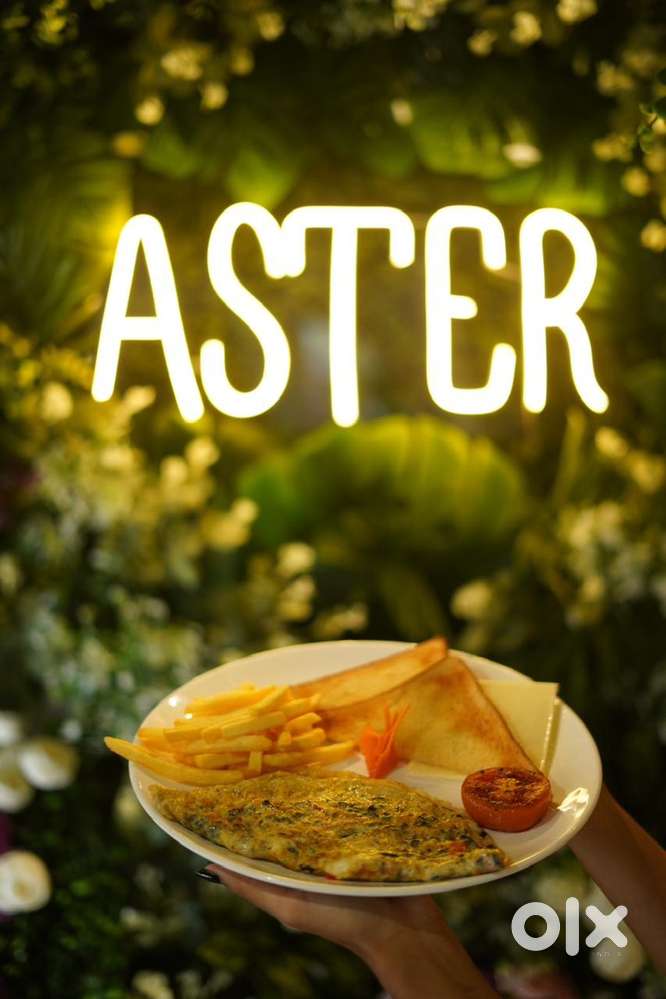 Barista & senior steward